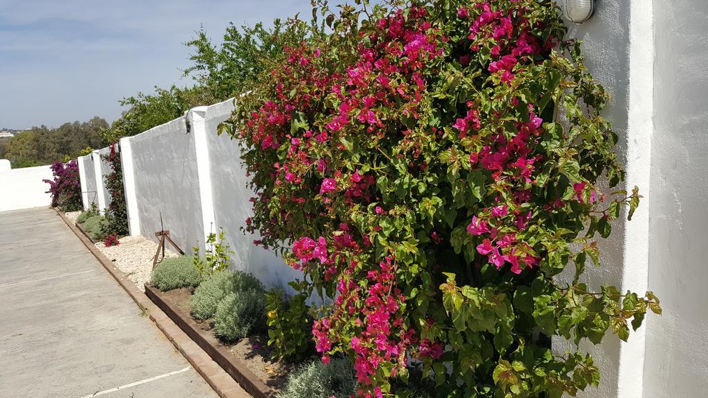 La Posada Del Duende Arcos de la Frontera Eksteriør billede