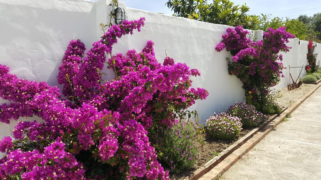 La Posada Del Duende Arcos de la Frontera Eksteriør billede