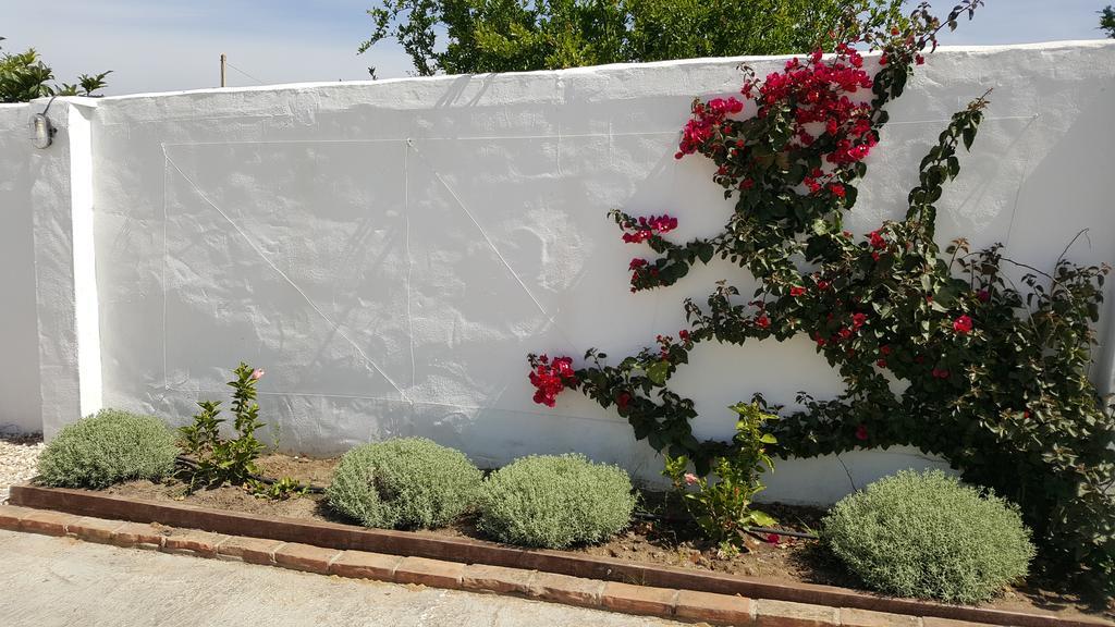 La Posada Del Duende Arcos de la Frontera Eksteriør billede